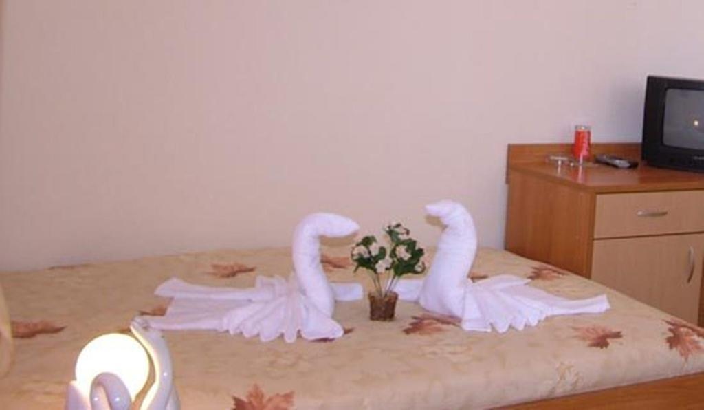 Family Hotel St. Constantine And Helena 伊瓦伊洛夫格勒 外观 照片